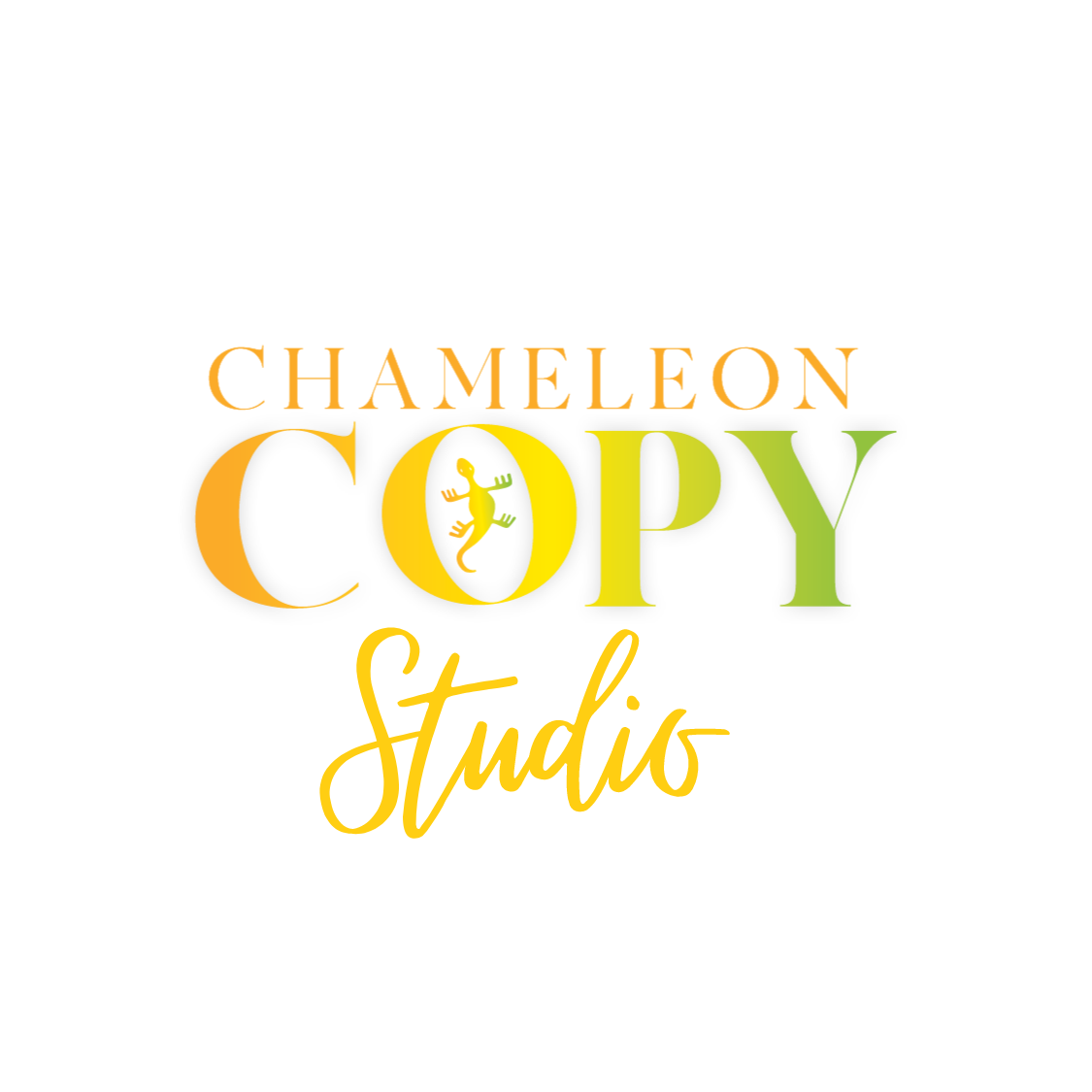Chameleon Copy Studio